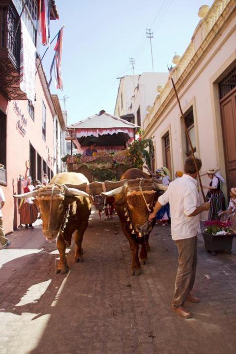 Hotel Rural Orotava La Orotava Esterno foto